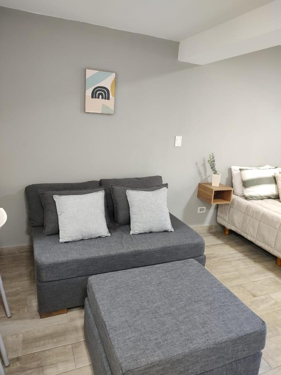 356 Apartments - Mendoza Extérieur photo